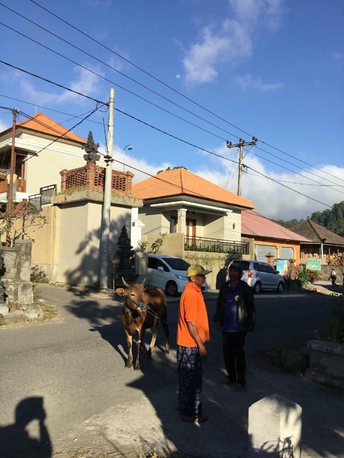 The Villa'S Kubu Sandan Kintamani Exterior foto