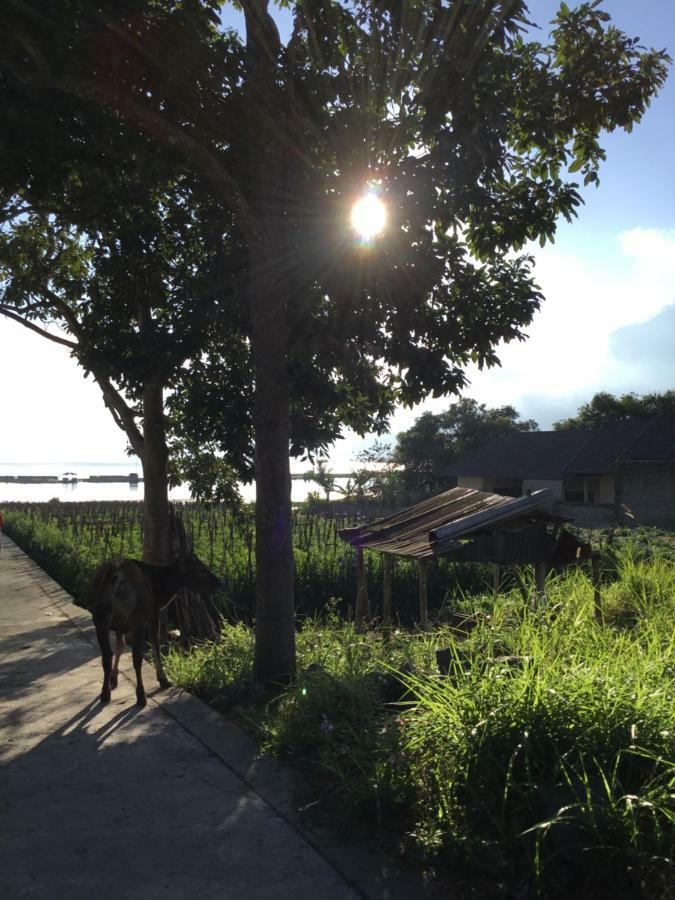 The Villa'S Kubu Sandan Kintamani Exterior foto